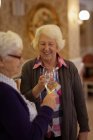 Amici anziani brindare bicchieri di vino a casa — Foto stock