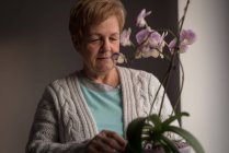 Mulher sênior ativa olhando para uma planta — Fotografia de Stock