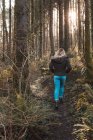 Rückansicht einer blonden Frau, die im Wald spazieren geht. — Stockfoto