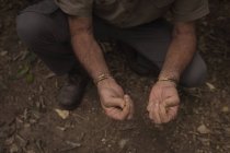 Baixa secção do agricultor detentor de sementes na exploração — Fotografia de Stock