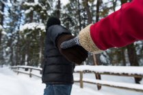 Coppia che si tiene per mano nella foresta di neve durante l'inverno — Foto stock