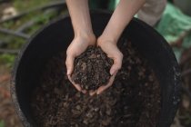 Female farmer holding a soil in the greenhouse — Stock Photo