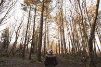 Vue arrière de la femme debout dans la forêt — Photo de stock