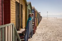 Сибірці стоять біля пляжної хатини в сонячний день — стокове фото