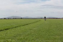 Человек с собакой в поле на расстоянии — стоковое фото