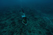 Вид сверху на женщину, плавающую под водой в море — стоковое фото