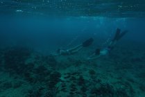Coppia di immersioni subacquee in mare turchese sulla barriera corallina — Foto stock