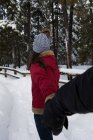 Пара тримає руки в сніжному лісі взимку — стокове фото
