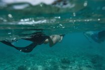 Paar taucht unter Wasser in türkisfarbenes Meer — Stockfoto