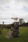 Коза на вершине скалы на ранчо — стоковое фото