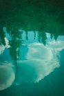 Озеро с отражением деревьев и облаков — стоковое фото