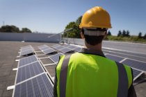 Rear view of male worker looking at solar panelsy — Stock Photo
