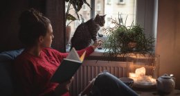Woman touching her pet cat on the window sill at home — Stock Photo