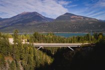 Ponte estreita que liga as montanhas através da floresta — Fotografia de Stock