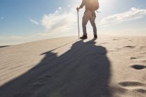 Rear view of hiker with trekking pole walking on sand — Stock Photo