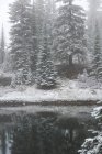 Árboles a lo largo del río cubiertos de nieve durante el invierno - foto de stock