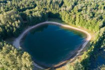 Aerial of turquoise pool surrounded with dense green forest — Stock Photo