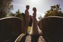 Braut und Bräutigam halten Händchen auf der Fußgängerbrücke im Garten — Stockfoto