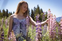 Menina tocando flores no campo no verão . — Fotografia de Stock