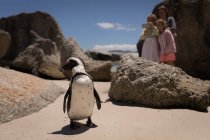Frères et sœurs prenant une photo du pingouin à la plage par une journée ensoleillée — Photo de stock