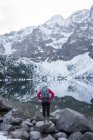 Вид сзади женщины с рюкзаком, стоящей на берегу озера зимой — стоковое фото