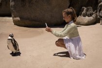 Girl taking picture of penguins with mobile phone on beach — Stock Photo