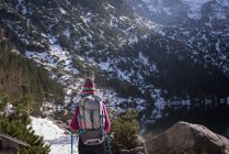 Rear view of female hiker walking at lakeside during winter — Stock Photo