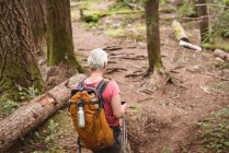 Вид ззаду зрілої жінки, що йде з пішохідними полюсами в лісі — стокове фото