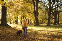 Femme âgée marchant dans le parc avec son chien de compagnie par une journée ensoleillée — Photo de stock