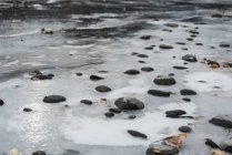 Frozen sea during winter — Stock Photo