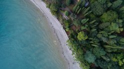 Aerial view of coastline with trees — Stock Photo