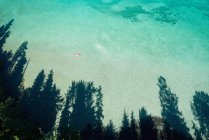 Воздушный каякер на байдарках в неглубоких бирюзовых водах вдоль береговой линии — стоковое фото