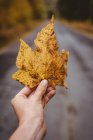 Nahaufnahme der Hand, die ein Herbst-Ahornblatt hält — Stockfoto