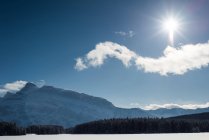 Hermosas montañas nevadas y bosques en Revelstoke, Columbia Británica, Canadá . - foto de stock