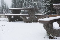 Banco del parque cubierto de nieve en un día de invierno - foto de stock