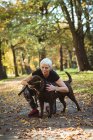 Senior mulher acariciando seu cão de estimação no parque em um dia ensolarado — Fotografia de Stock
