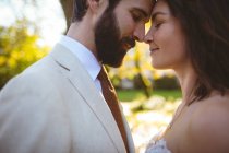 Крупним планом наречений і наречена обіймаються один з одним в саду — стокове фото