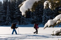 Casal caminhando junto com mochilas na floresta nevada . — Fotografia de Stock