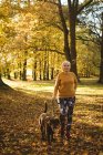 Старша жінка, що гуляє в парку зі своїм домашнім собакою в сонячний день — стокове фото