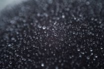 Close-up view of water drops on grass — Stock Photo