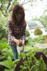Mujer rociando agua sobre plantas en el jardín - foto de stock