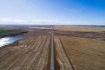 Порожня дорога, що проходить через пшеничне поле в сонячний день — стокове фото