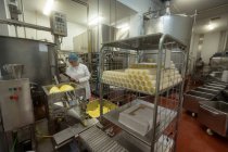 Arbeiterin überwacht Teig in einer Maschine in der Lebensmittelfabrik — Stockfoto