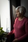 Donna anziana guardando pianta mentre in piedi vicino alla finestra — Foto stock
