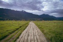 Шиномонтажні колії на брудному шляху, що проходить через зелений пейзаж — стокове фото