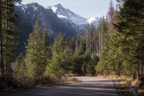 Strada che attraversa montagne innevate e alberi in una giornata di sole — Foto stock