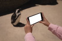Дівчина прийняття малюнок пінгвіни з мобільного телефону на пляжі — стокове фото