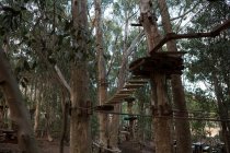Los obstáculos de madera del curso de cuerdas en el bosque - foto de stock
