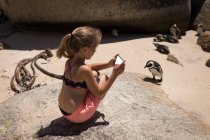 Дівчина фотографує пінгвінів з мобільним телефоном на пляжі — стокове фото