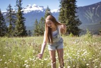 Девушка трогает цветы в поле летом . — стоковое фото
